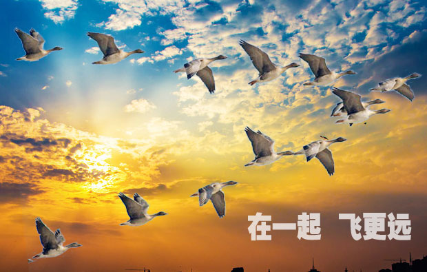 “在一起，飛更遠” 團隊的力量！