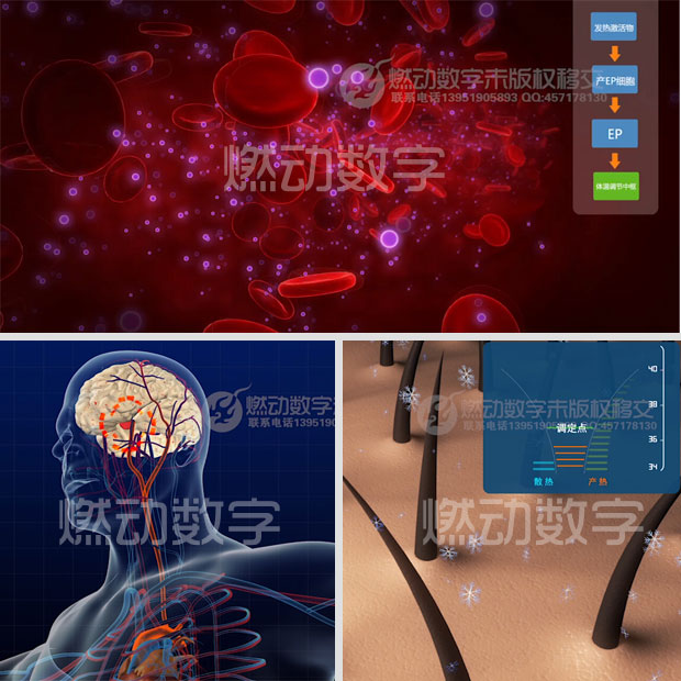 醫學病理《發熱過程》三維演示動畫制作